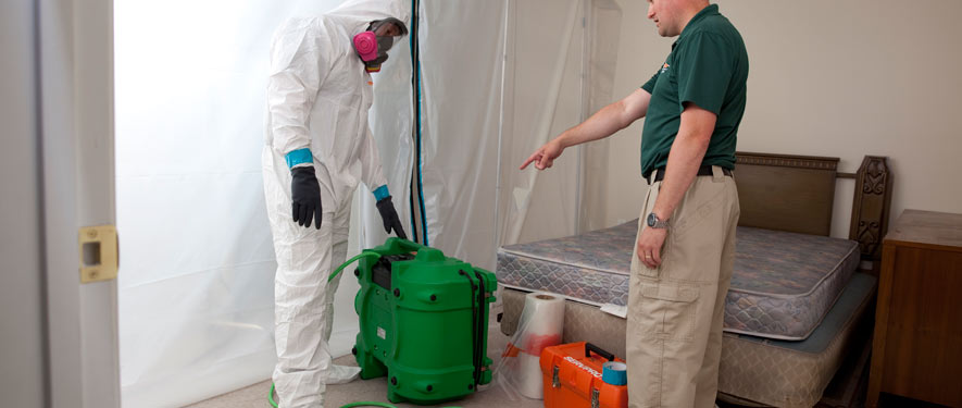 Laguna Hills, CA mold removal process